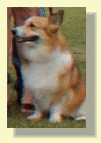 mcculloh_reunion_-_reunions036005.gif